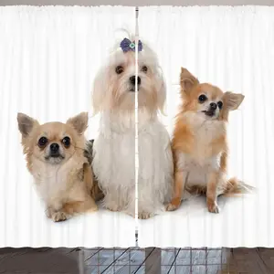 Занавеска с изображением щенков породы АРАНДЕ, чихуахуа и мальтийской болонки, смотрящих в одном направлении на однотонном фоне, 280 x 260 см, светло-коричнево-белая Abakuhaus