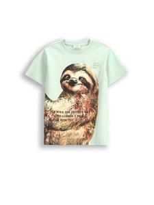 Футболка Coccodrillo, оливково-зеленый