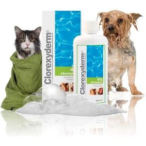 Шампунь Clorhexyderm