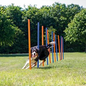Мачты для слалома Trixie Agility, 115Xø, 3 см 115 см Trixie