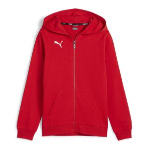 Мужская куртка с капюшоном Puma teamGOAL Casuals Hooded Jacket Jr 658596