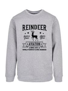 Толстовка F4NT4STIC Sweatshirt Reindeer Aviation Retro Weihnachten Sign, пятнистый серый