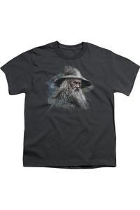 Футболка с коротким рукавом для детей "The Hobbit" - Гэндальф Серый Gildan