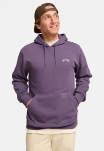 Худи arch po Billabong, Ppd