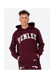 Толстовка с капюшоном Ayden обычного кроя Benlee, мультиколор