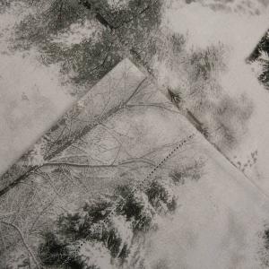 Комплект простыней Celeste Home из хлопковой фланели, цвет Winterland