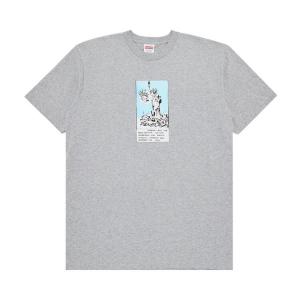 Футболка Supreme Liberty Tee, цвет Heather Grey