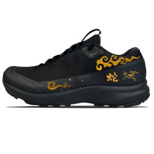 Arcteryx Аэриос Фл 2 износостойкие низкие уличные кроссовки унисекс черные, цвет Black