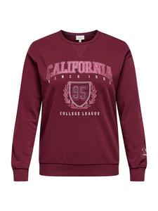 Толстовка ONLY Carmakoma CARBEN, темно-красный