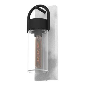 Настенный светильник Eglo Carraro, сталь / стекло - 1-световой - серый