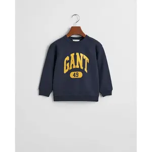 Толстовка Gant 49 Archive Print 806801, синий