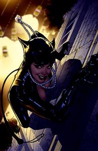 Catwoman: The Long Road Home (DC Comics)