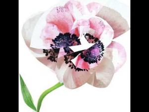 Туалетная вода для женщин Estuche Narciso For Her Narciso Rodriguez, 1 UD