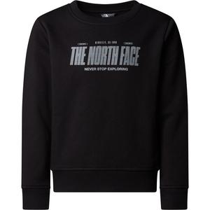 Толстовка со светоотражающим логотипом, свободный крой The North Face, черный