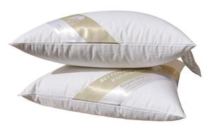 В упаковке 2 подушки Hofmanns 35x35 подушки для шеи перьевые подушки 30% пух 300г пухлые Betten Hofmann