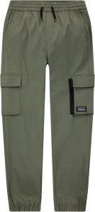 Нейлоновые брюки-карго Levi's для мальчиков, Four Leaf Clover