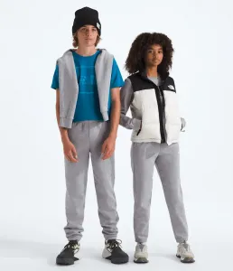 Брюки Evolution Simple Dome для мальчиков и девочек The North Face, TNF Pale Grey Heather