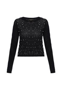 Faina Свитер 'Festive' в черном цвете