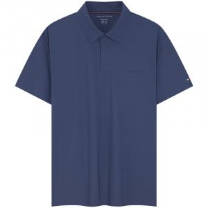 Мужская поло Tommy Hilfiger, синий