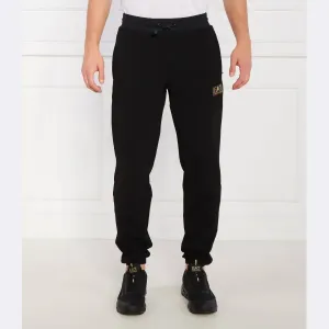 Спортивные брюки стандартного кроя Ea7, черный