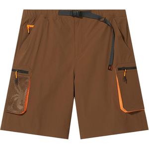 Повседневные шорты мужские SPYDER, темно-коричневый