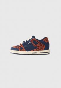 Кроссовки Globe SABRE, Orange Zebra/Navy/Orange