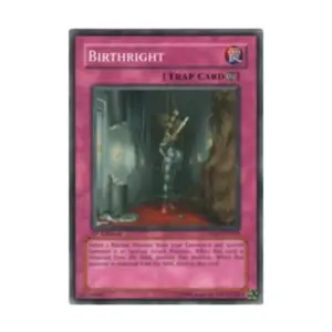 CCG Право первородства (общее), Yu-Gi-Oh - Structure Deck - Yu-Gi-Oh! 5D's 1 - Singles