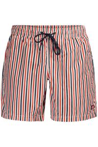 Мужские шорты Norway 1963 плавательные в полоску, синий/красный