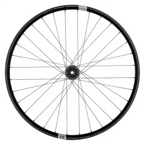 Заднее колесо Crankbrothers Synthesis E-Bike Micro Spline 29´´ 6B Disc Tubeless, серебряный