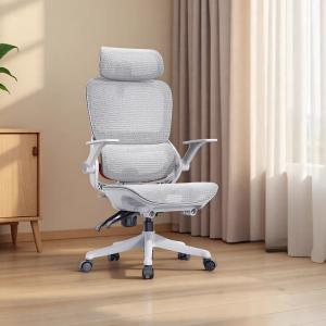 SIHOO (SIHOO) Эргономичный компьютерный стул для дома и офиса B100Lite Cloud White с поясничной поддержкой, регулируемыми подлокотниками и обновленной конструкцией