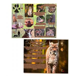 Мир рыси, деревянный пазл, лесное образование, интересные факты о рыси. Inna marka