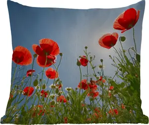Подушка для улицы - Сияющее солнце над маками в Испании - 50x50 см - Устойчива к погодным условиям - Подушка для отдыха - Удобная - Подушка с изображением MuchoWow