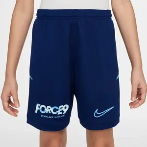 Детские шорты Dri-Fit Academy 25 EH Nike, синий