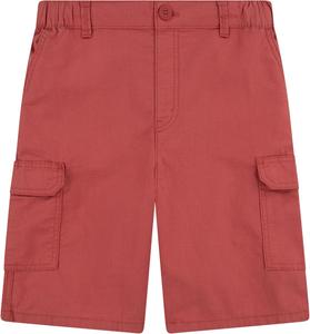 Шорты-карго Levi's для мальчиков, Mineral Red