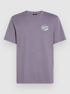 Футболка O'Neill Box Logo T-Shirt, storm