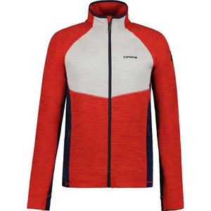 Куртка Delton Icepeak, красный