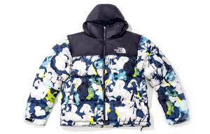 Коллекция 1996 года, пуховик унисекс, многоцветный The North Face, цвет Multicolor