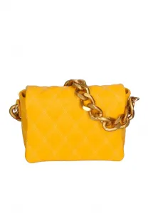 Сумочка Chiara Ferretti, S Giallo