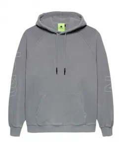 Худи с рукавами реглан, осенне-зимняя коллекция New Amsterdam Surf Association, серый