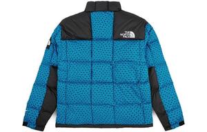 THE NORTH FACE Мужская куртка, цвет Blue