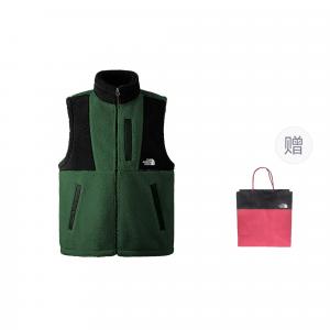 Жилет мужской зеленый, с подарочной сумкой THE NORTH FACE, зеленый (с подарочной сумкой)