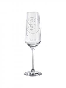 Бокал для шампанского, пингвин, луна, не говоря ни слова, прозрачный Mr. & Mrs. Panda