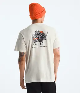 Мужская футболка Evolution Vault Tri Pack с коротким рукавом - с графикой The North Face, White Dune