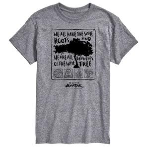 Футболка Big & Tall Avatar The Last Airbender с графическим рисунком Same Roots Nickelodeon, серый