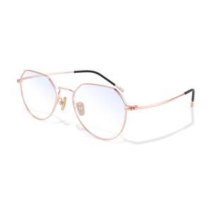 Функциональные очки Alloy Irregular/Polygonal Unisex PULAIS