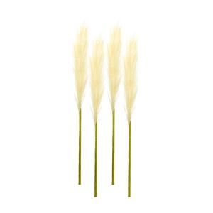 Декоративная ветка Melrose International Cream Pampas Gass Stem, 4 штуки, бежевый / зеленый