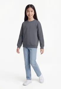 Унисекс толстовка paris saintgermain Jordan, Graphite