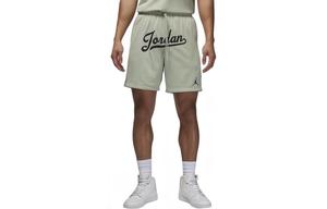Повседневные шорты мужские светло-зеленые Jordan, светло-зеленый