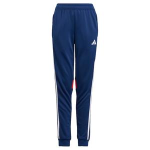Зауженные спортивные брюки ADIDAS PERFORMANCE Tiro 25 Essentials, темно-синий