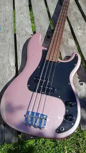 Fungi Грибы Портобелло 2025 - Реликвия из нитроцеллюлозы